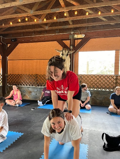 PÅ GOAT YOGA I LANCASTER MED MIN SVENSKA VÄN SOM JOBBAR I NEW YORK